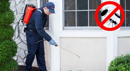 Serinhisar Böcek ve Haşere İlaçlama böcek ilaçlama ve haşere kontrolü — ilaclama-tr.com